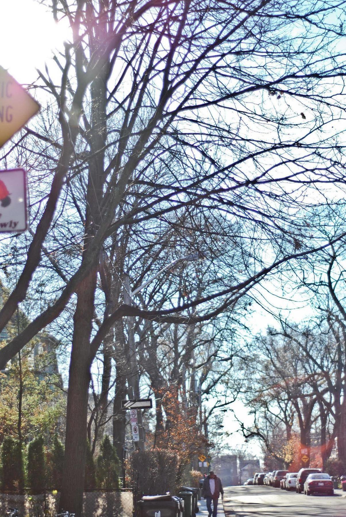 West Queen West Hotel Τορόντο Εξωτερικό φωτογραφία